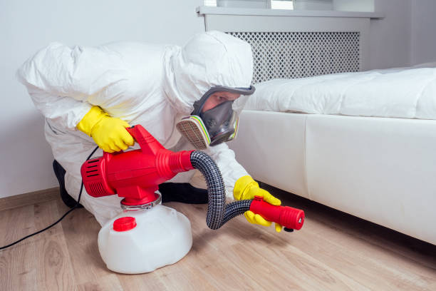 Insect Control in Lemmon Valley, NV